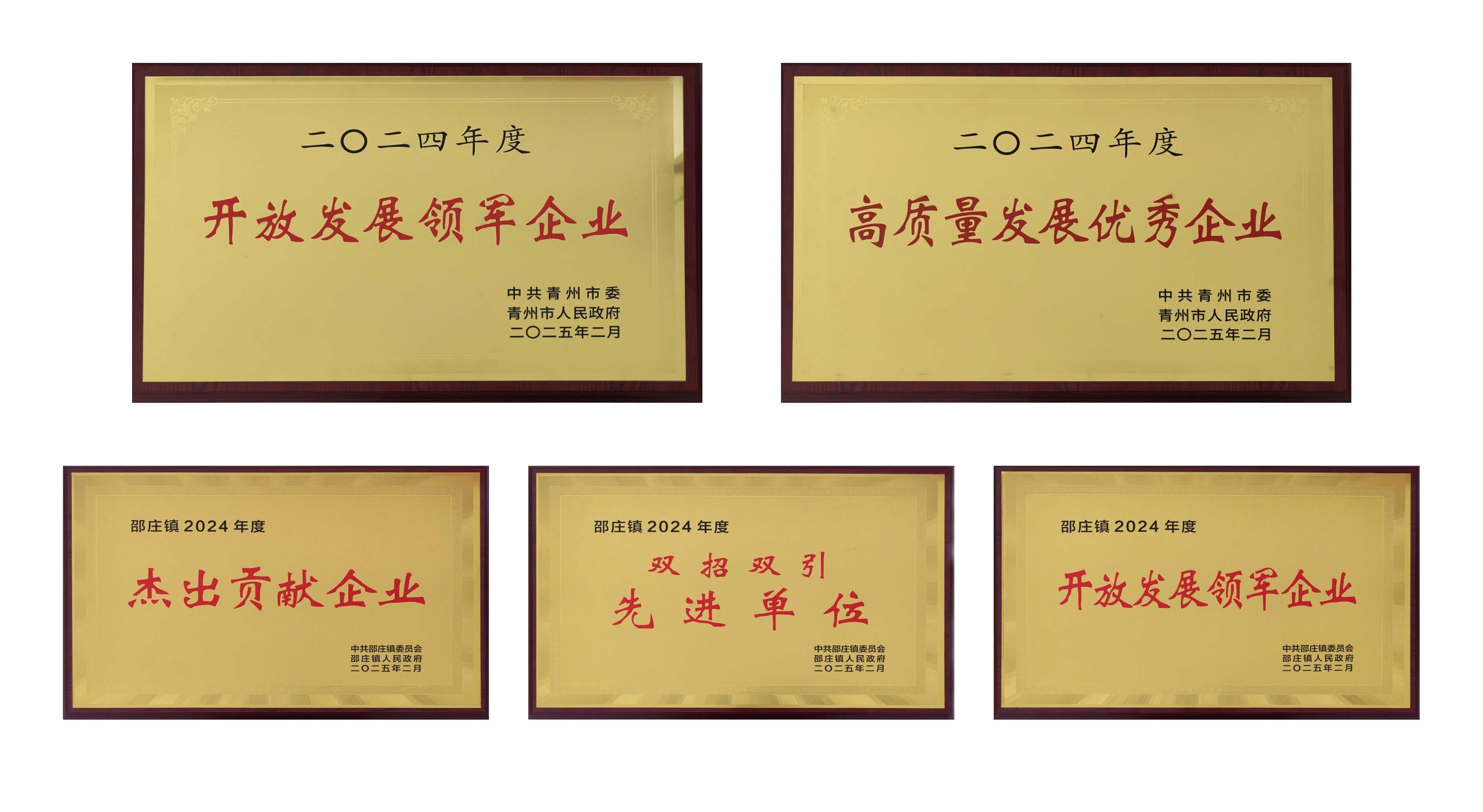 山东壹定发医疗荣获多项殊荣